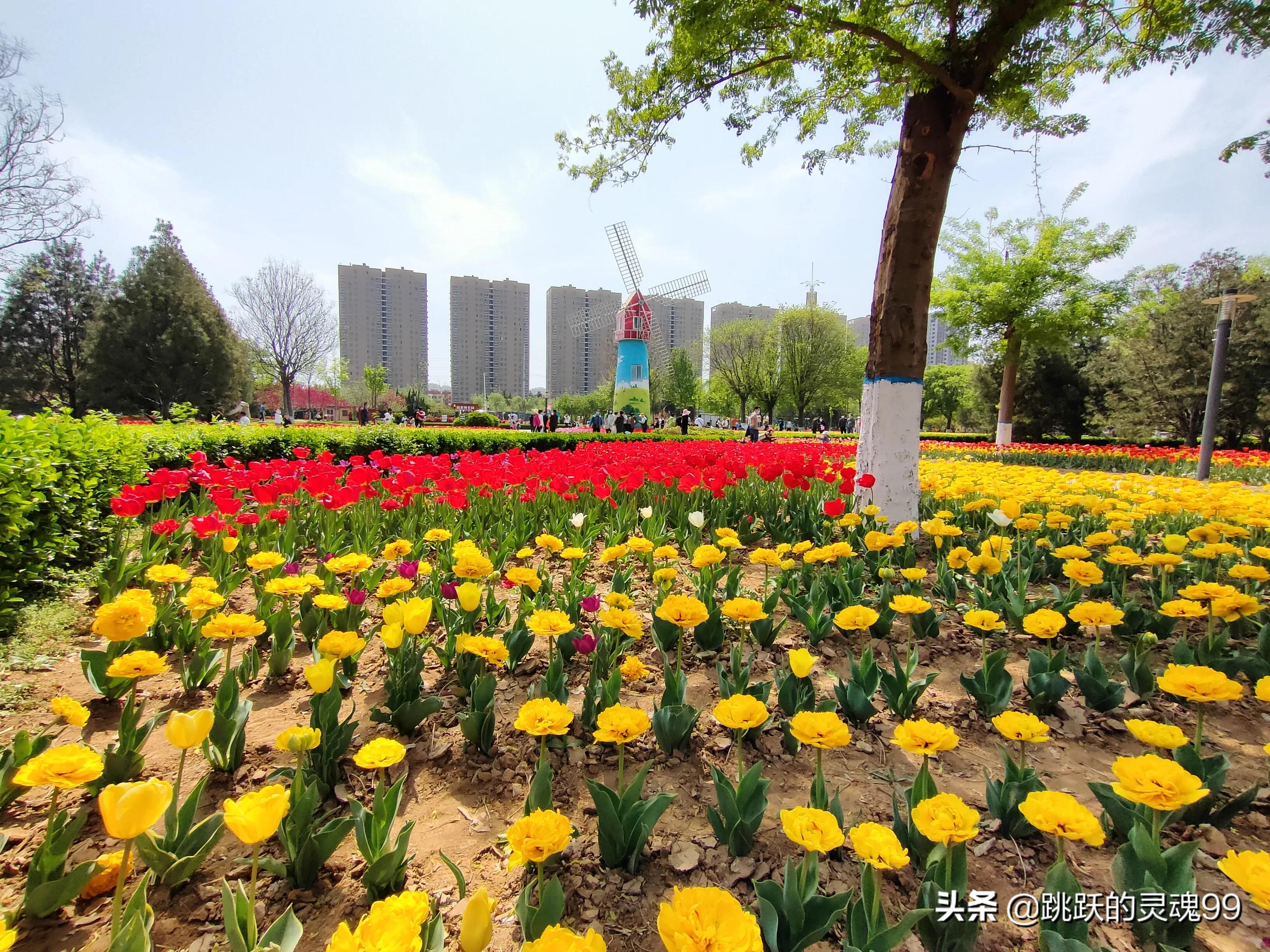 豪爵afr125踏板售价现在有优惠吗,万元内150豪爵踏板