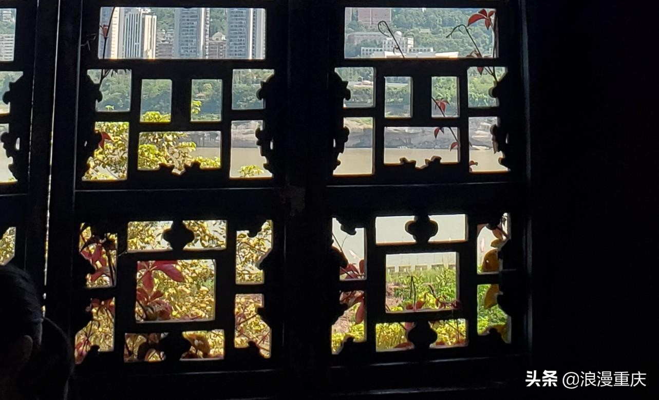 寻找马璐璐,寻找猪鼻狸