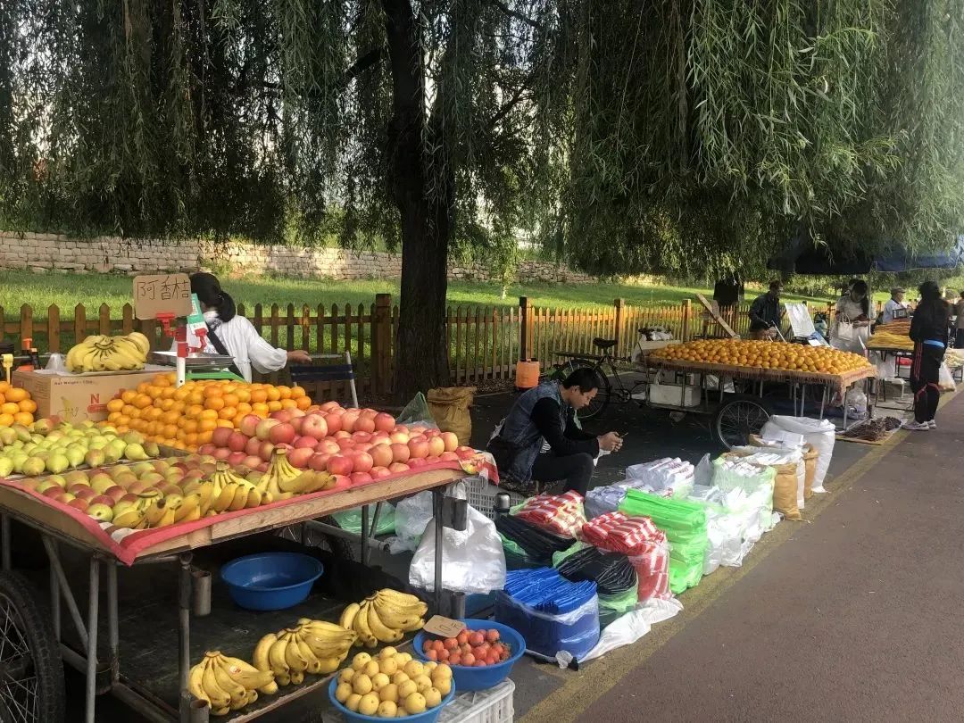 性价比超高的出行的地方,性价比更高最美景点推荐