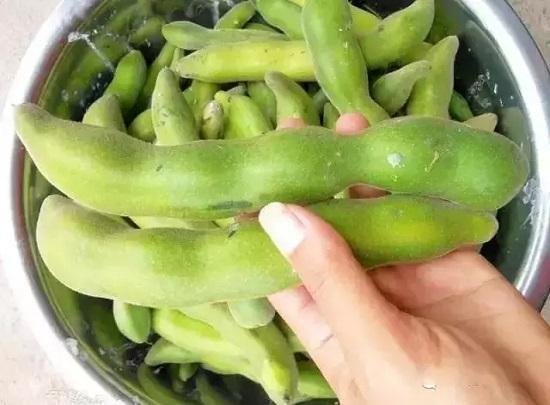 和狗爪豆长得像的有什么,很像狗爪豆的野生植物