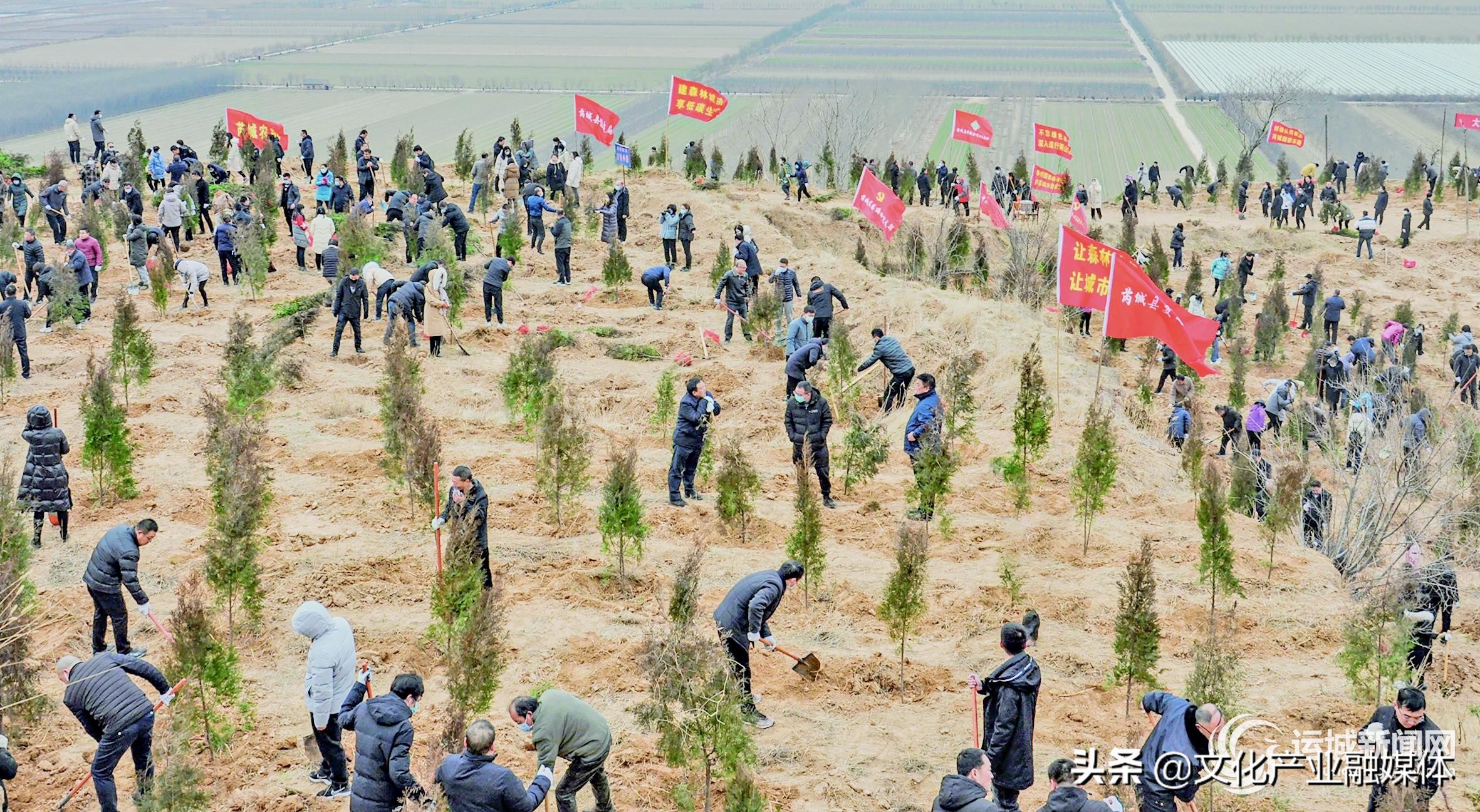 只此青绿什么意思,春和景明植青绿