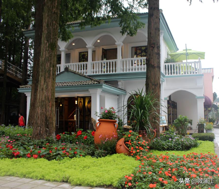 朝阳湖云端绿道,朝阳湖绿道