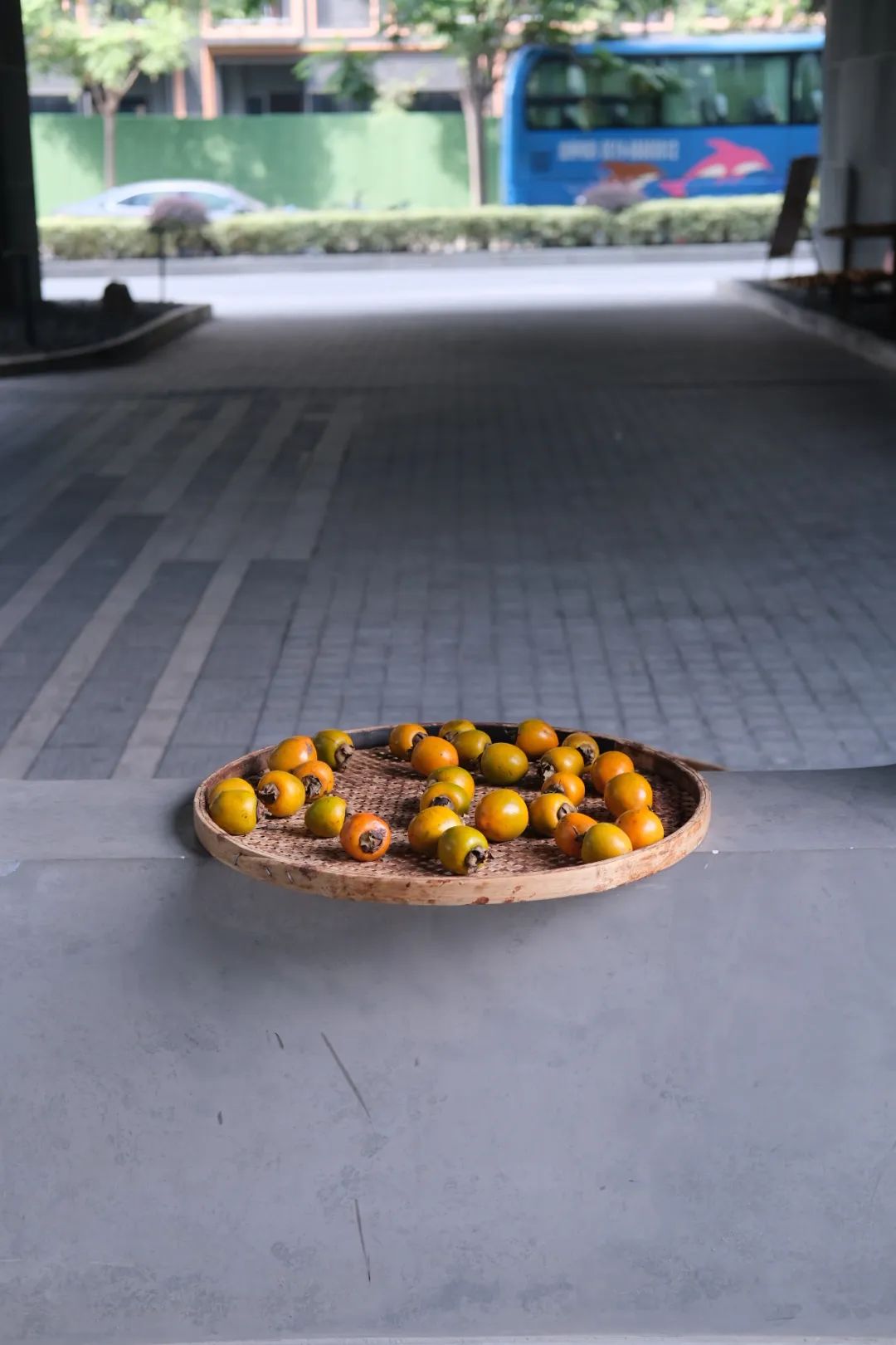 春天的潺潺溪水,春天的顶流