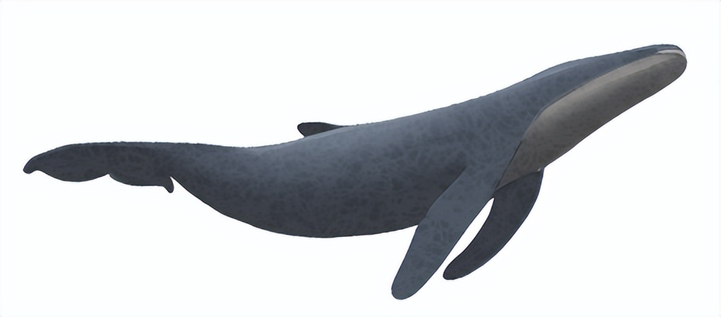 上个世纪，被卖到中国大连的日本少女们