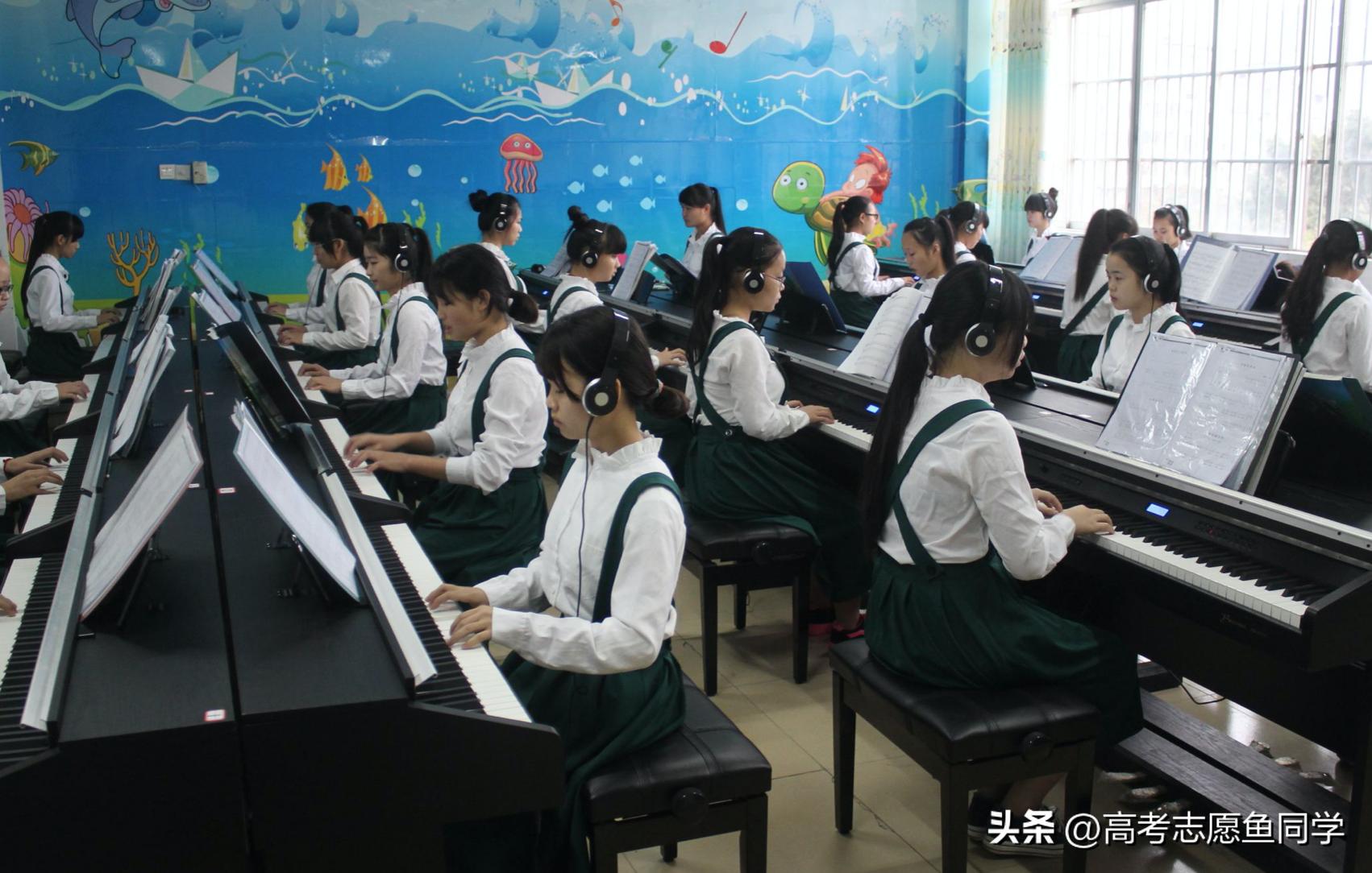 女孩专科就业率高的5个好专业,专科专业就业率排行榜