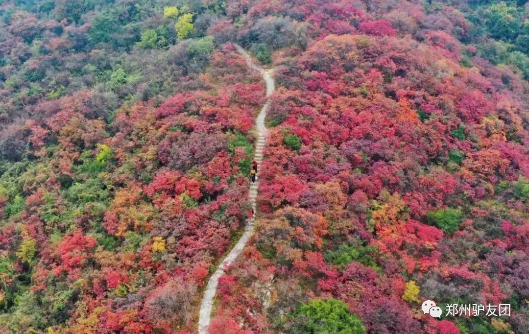 郑州最近赏红叶最佳的地方,靳家岭红叶和长寿山红叶哪个好看