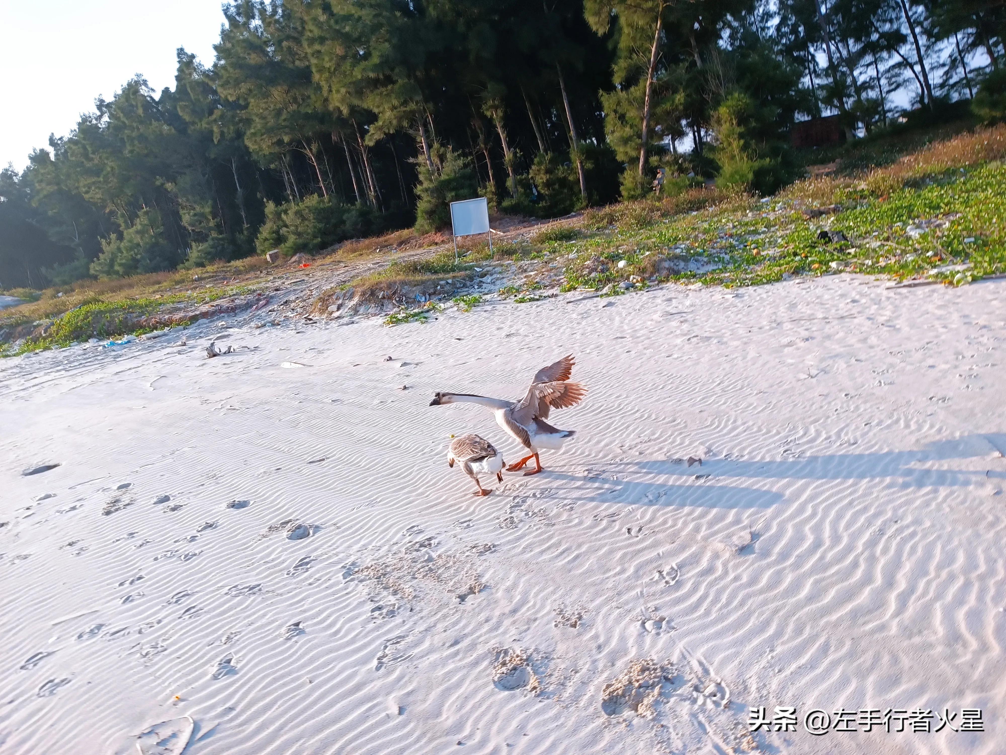 茂名浪漫海岸：落日海景美哉美哉