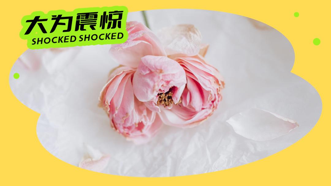 「救命！我的阴道瓣碎片从下面掉出来了」