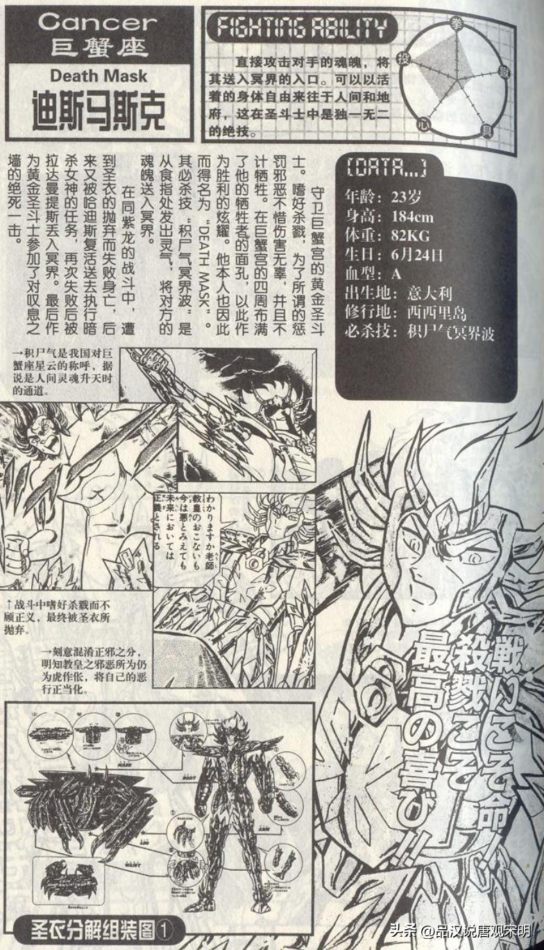 万字深度解读,万字全面解析