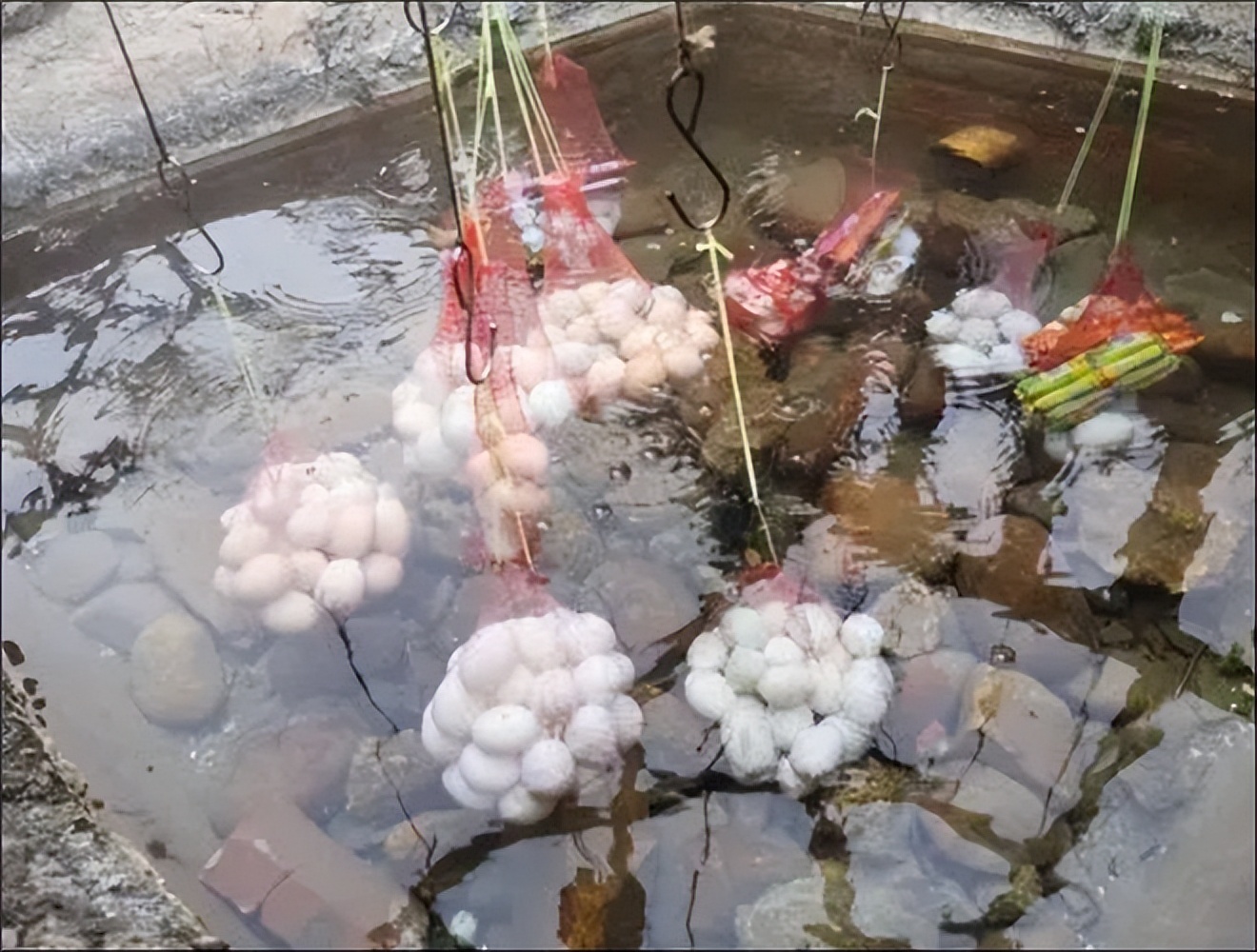 恩平吃喝玩乐一日游,恩平一日游必去美食