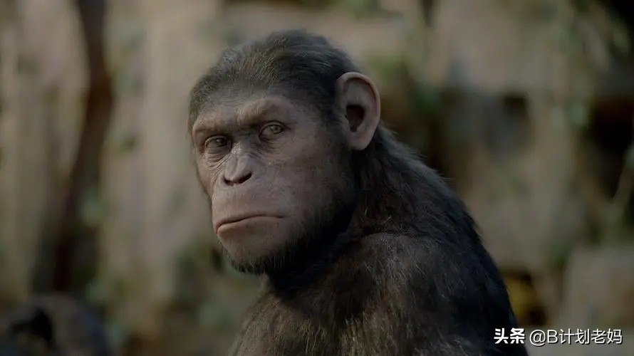 关于动物的英语电影推荐小学生,最好看的英语动物电影