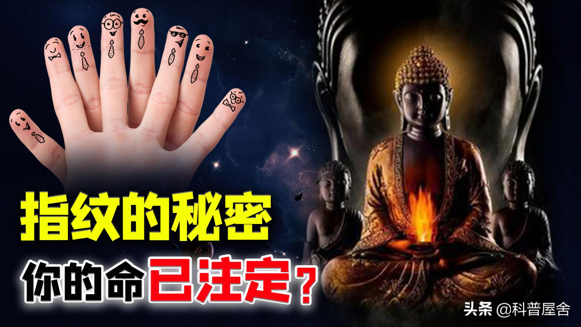中科院发现指纹斗与簸箕的奥秘,指纹除了簸箕和斗还有一种叫什么