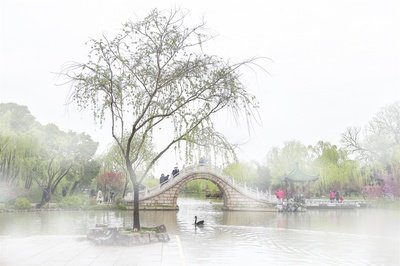 描写春风的诗句大全,关于春天春风的诗句古诗词