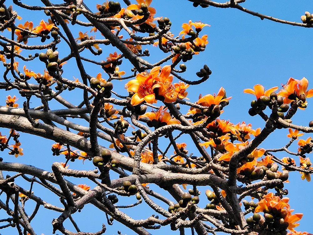 汕头潮州南澳岛旅游攻略,潮州汕头南澳岛自驾游攻略