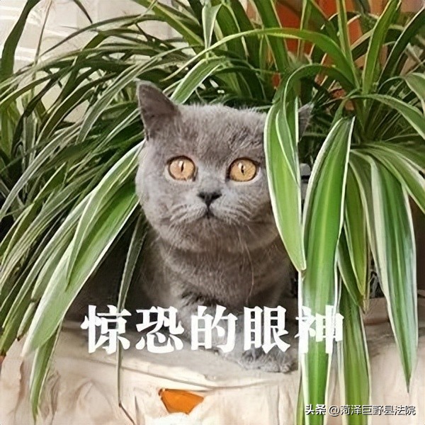 丈夫打牌欠了30万赌债离婚怎么办,因赌博离婚赌债怎么还