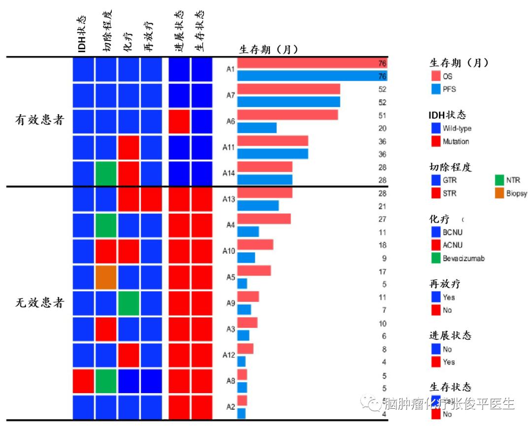 自体过继免疫细胞疗法在复发GBM患者中的安全性和疗效
