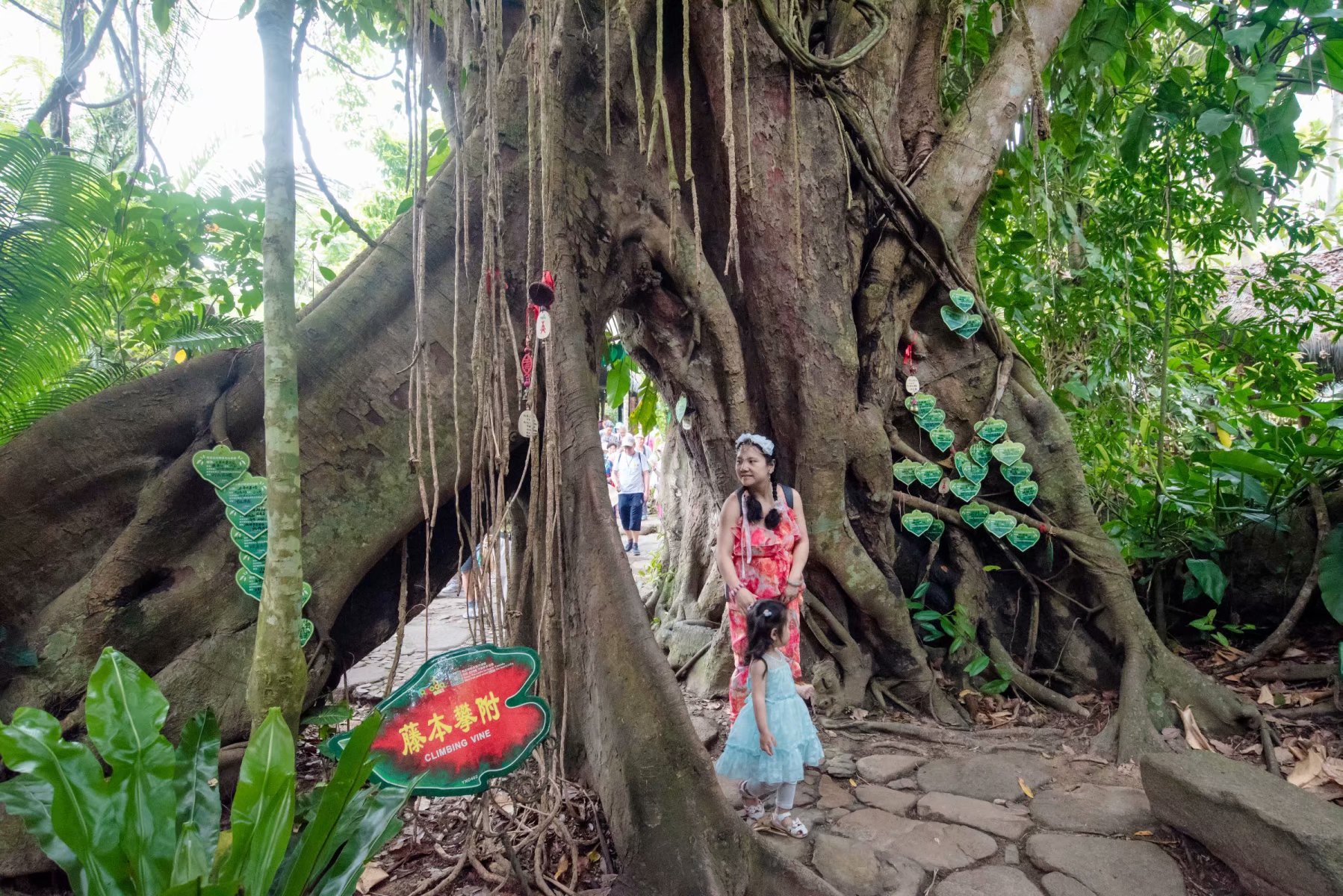 三亚和泰国哪个更适合旅游,三亚旅游和泰国旅游花费差多少钱