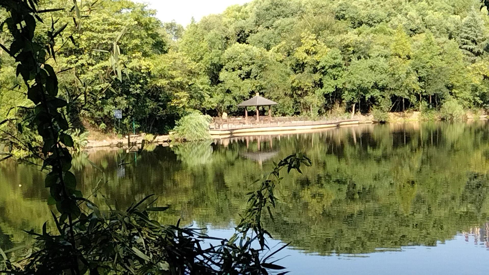 平湖明湖公园攻略,平湖公园免费景点