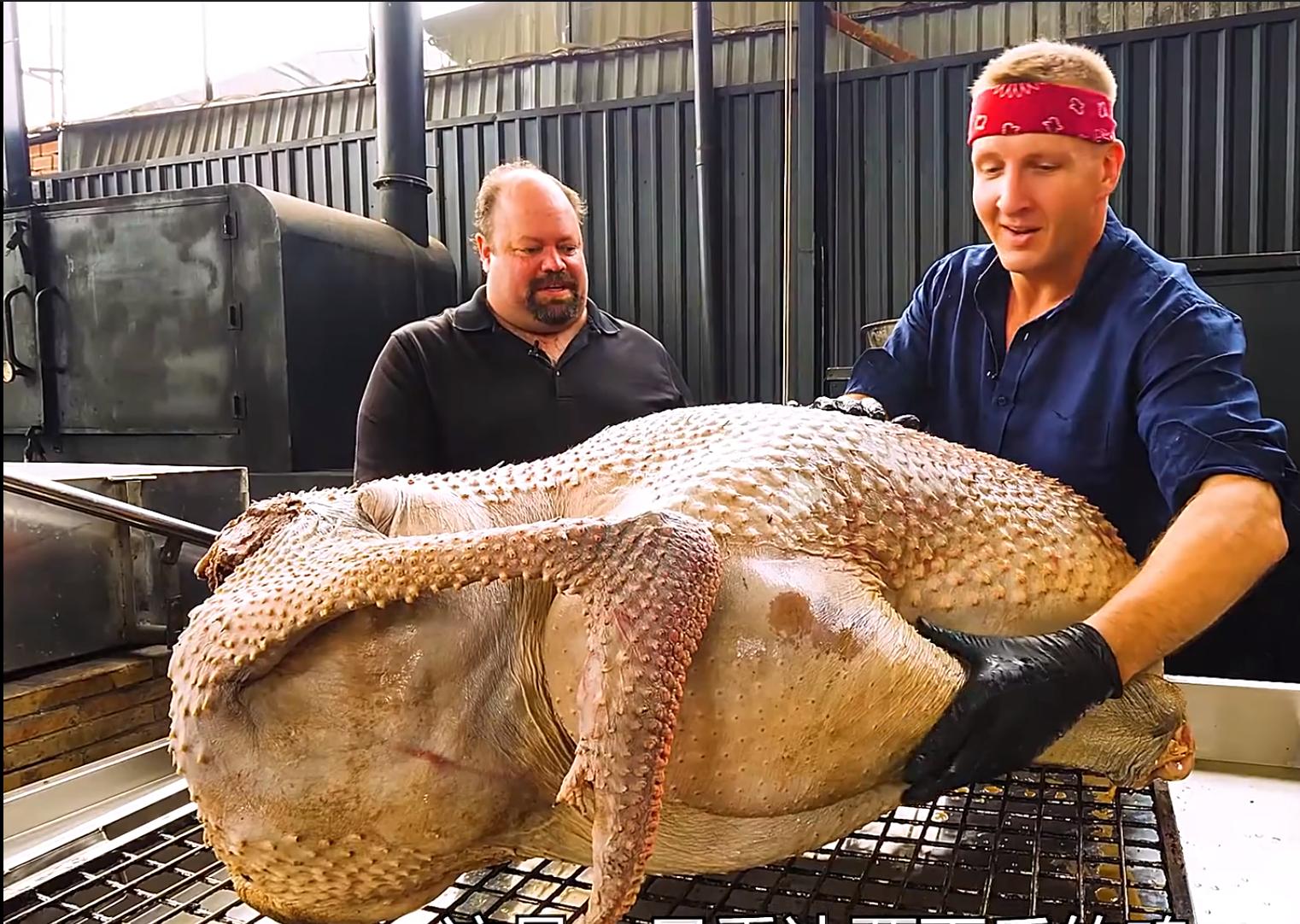 你不知道的五大世界纪录,你不知道的十个世界纪录