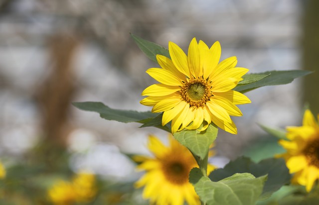 家长请老师去做美容怎样拒绝,母女做美容