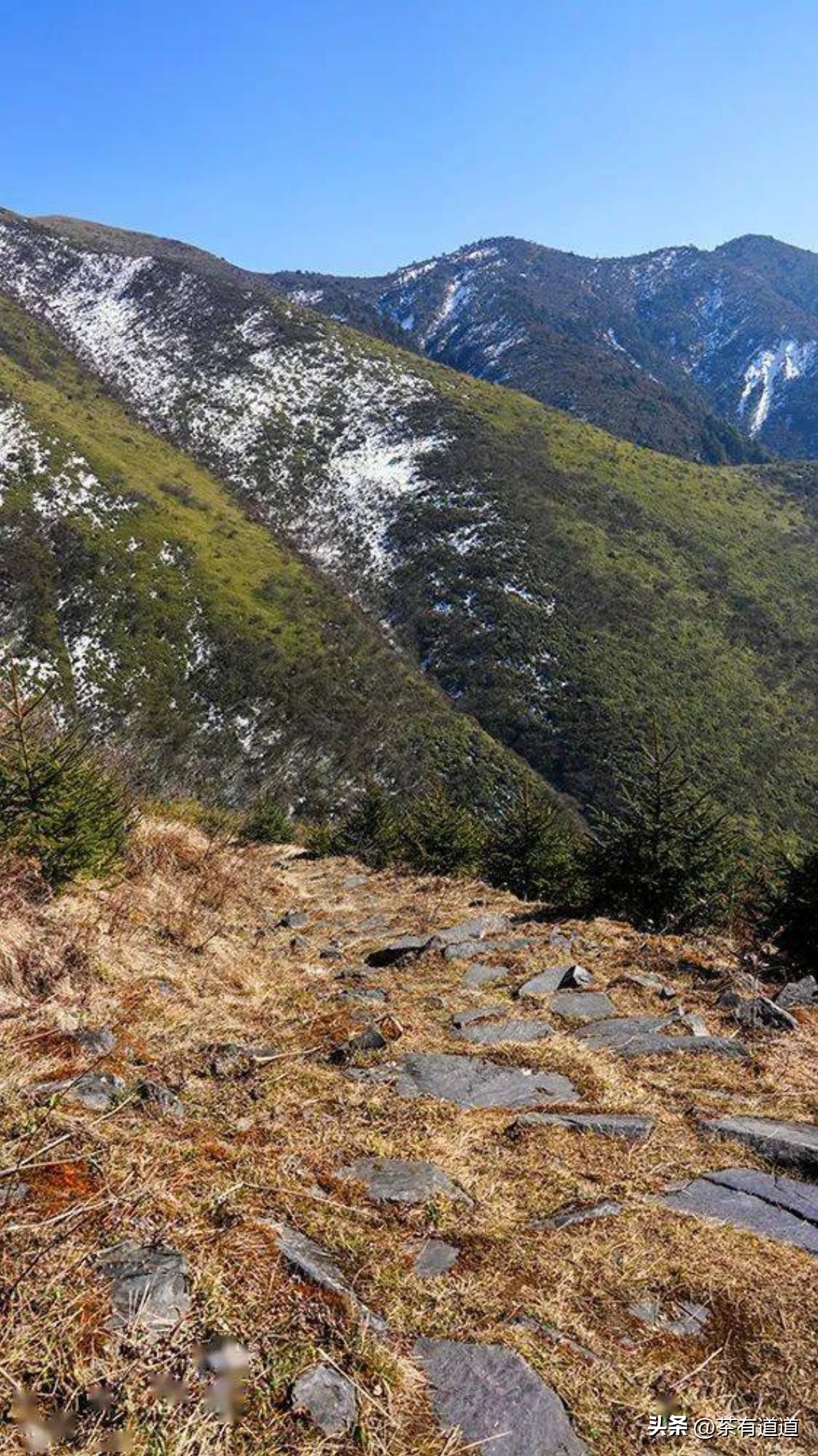 川藏南线茶马古道,四川荥经茶马古道路线图