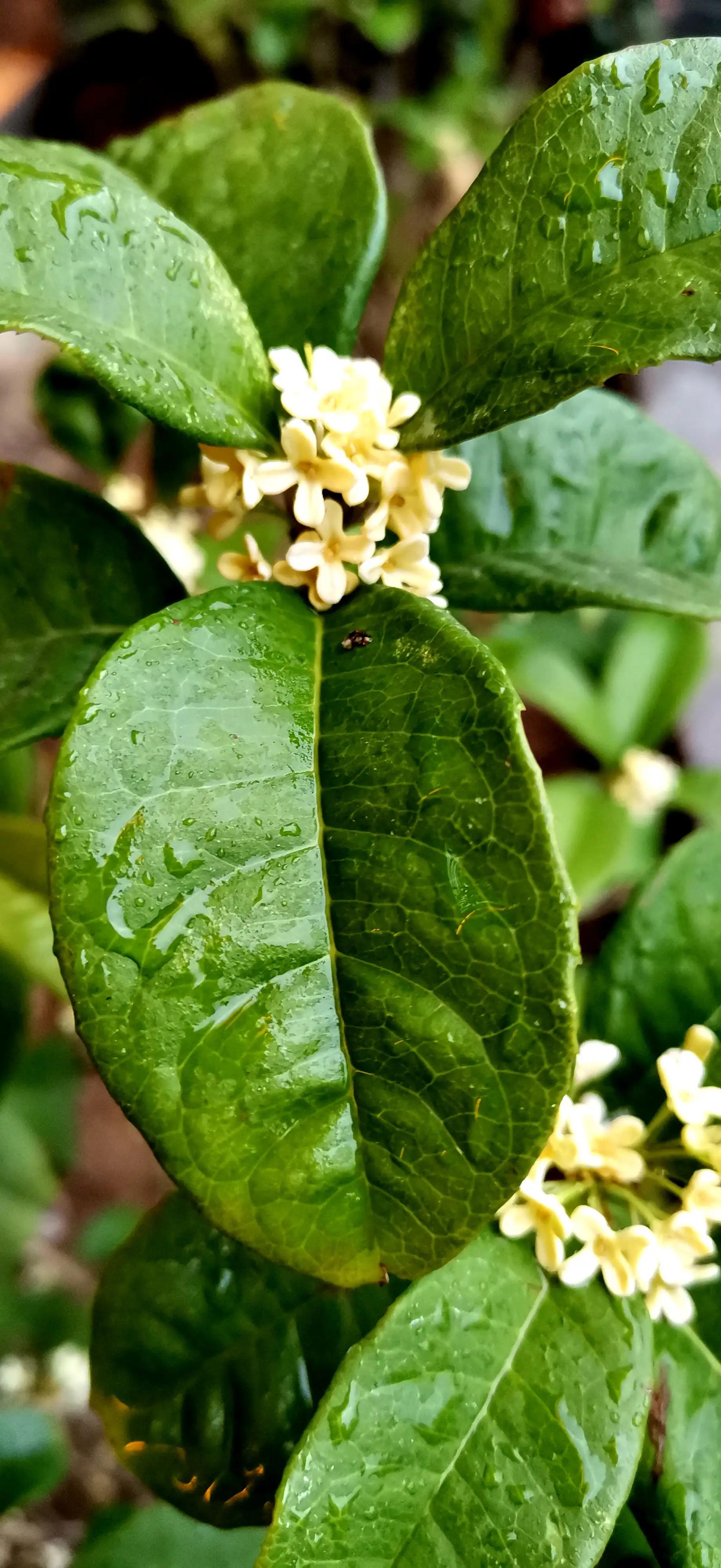 儿童搞笑段子大全爆笑幽默笑话,幽默笑话搞笑段子视频素材下载