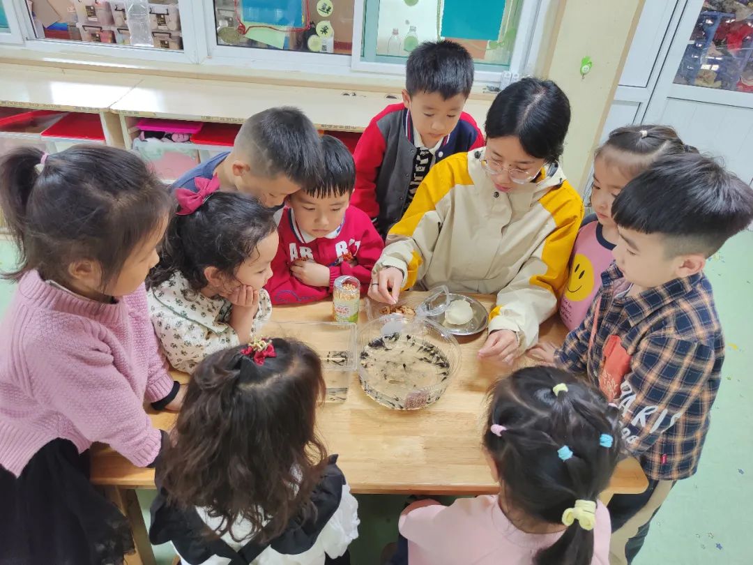 新绛县幼儿园【中四班班本课程】遇见蝌蚪