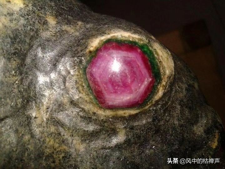 福建大山深处发现奇石,深山发现珍贵顽石