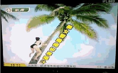 椰树椰汁恶俗广告的事件发酵,椰树椰汁回应广告恶俗