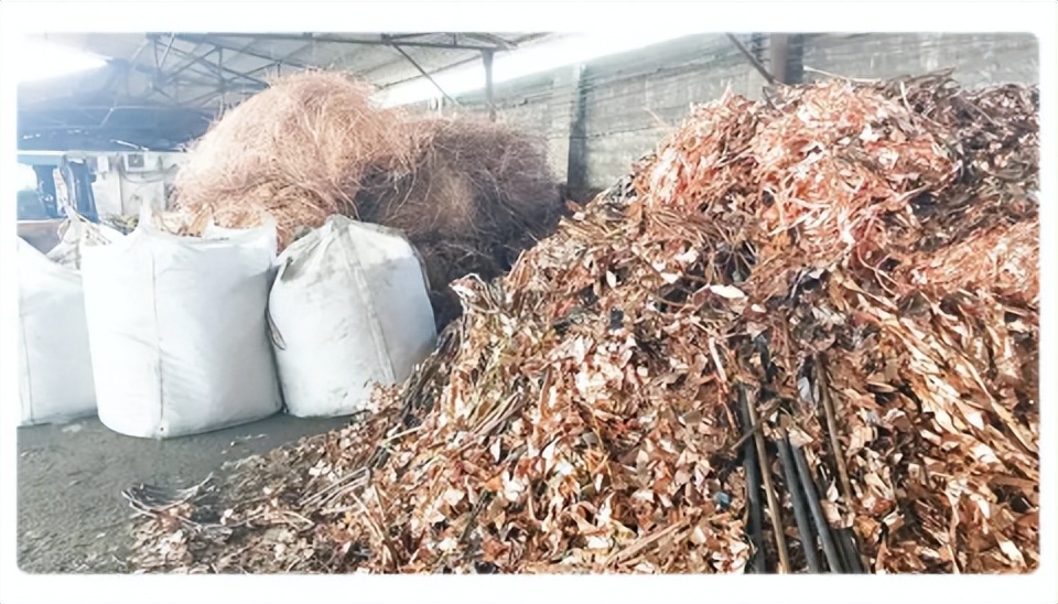 电工判断电线的基础,如何判断电工证真假