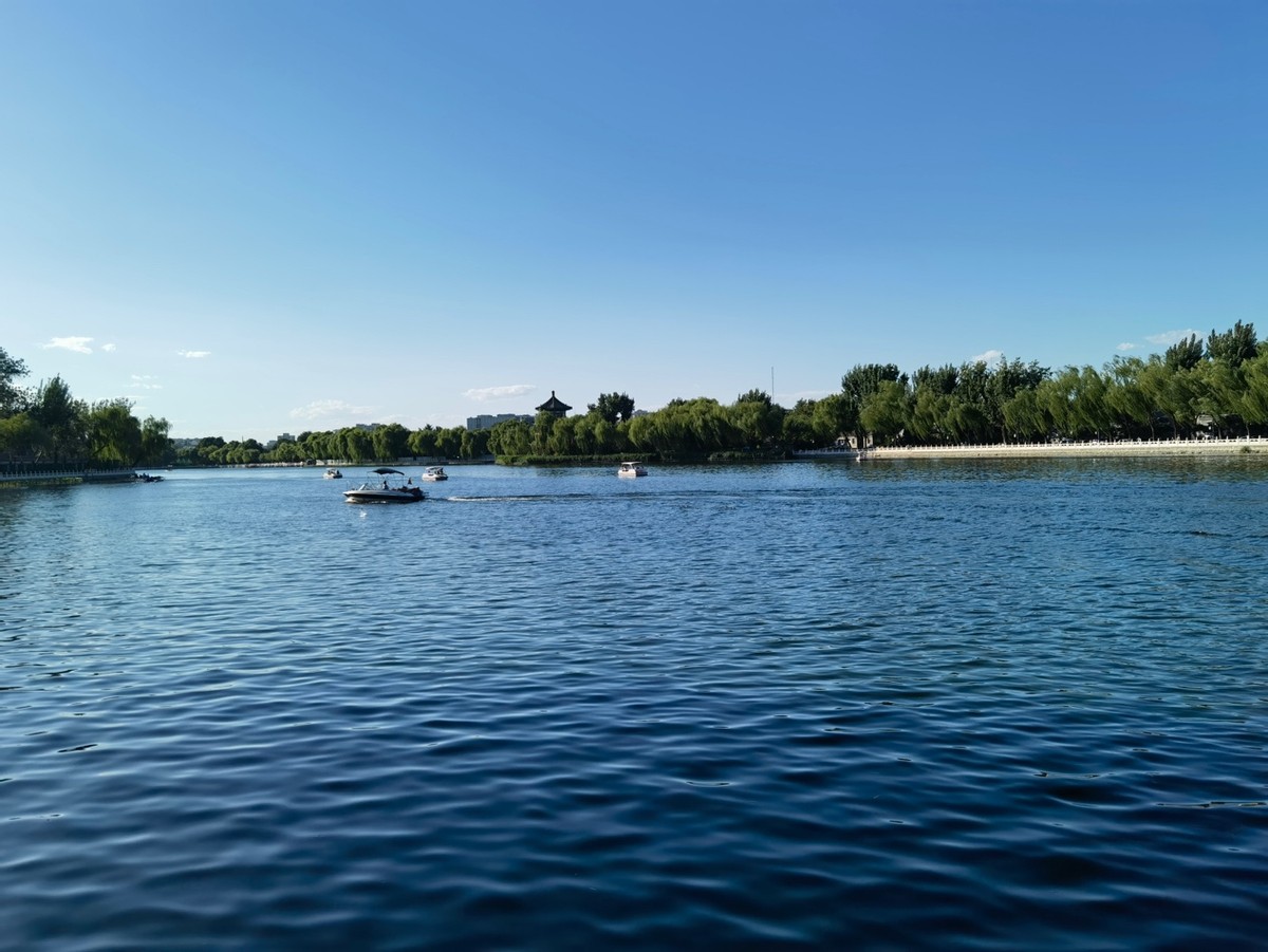 vivo天玑9000和oppo天玑1000+哪个好,搭载天玑900荣耀手机哪款性价比高