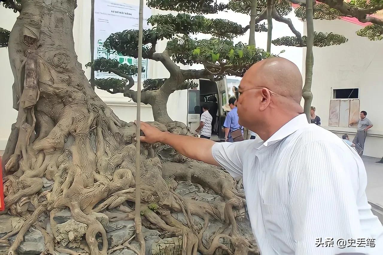 2008年他花105万买下一棵老榕树，结果10年后，出价420万都不肯卖