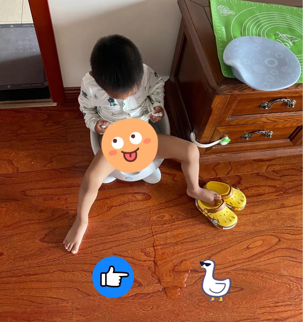 带娃三年买了五个小马桶,看看哪个最适合!(带娃必备之拉篇)