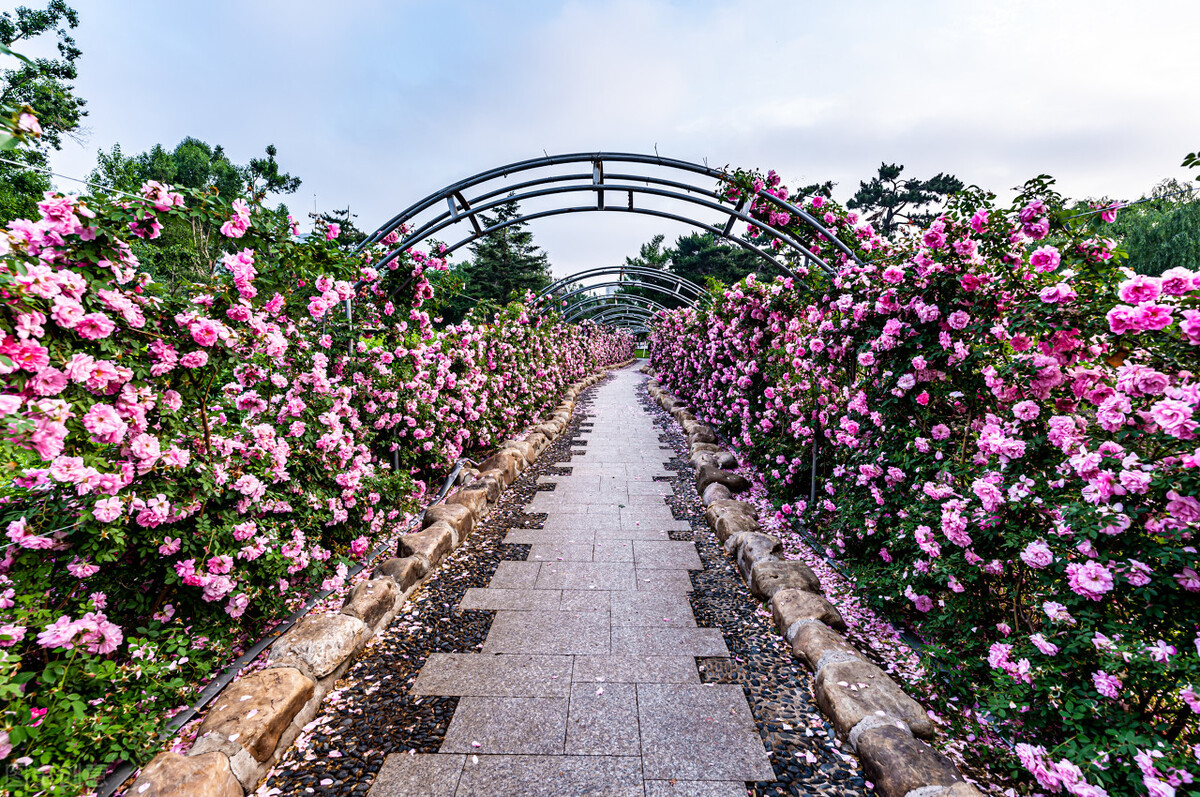 西宁市各区划分,西宁市的所有小区