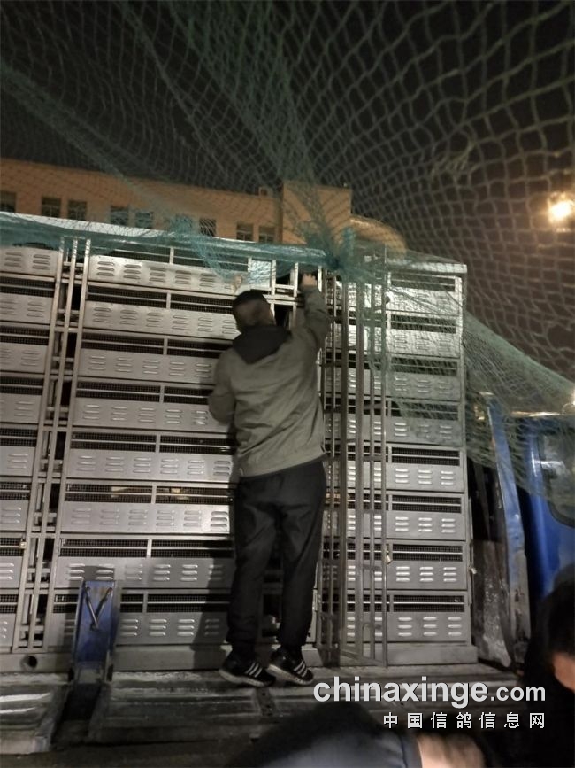 江苏盐城竞赛规程苏北五市联翔赛打头阵