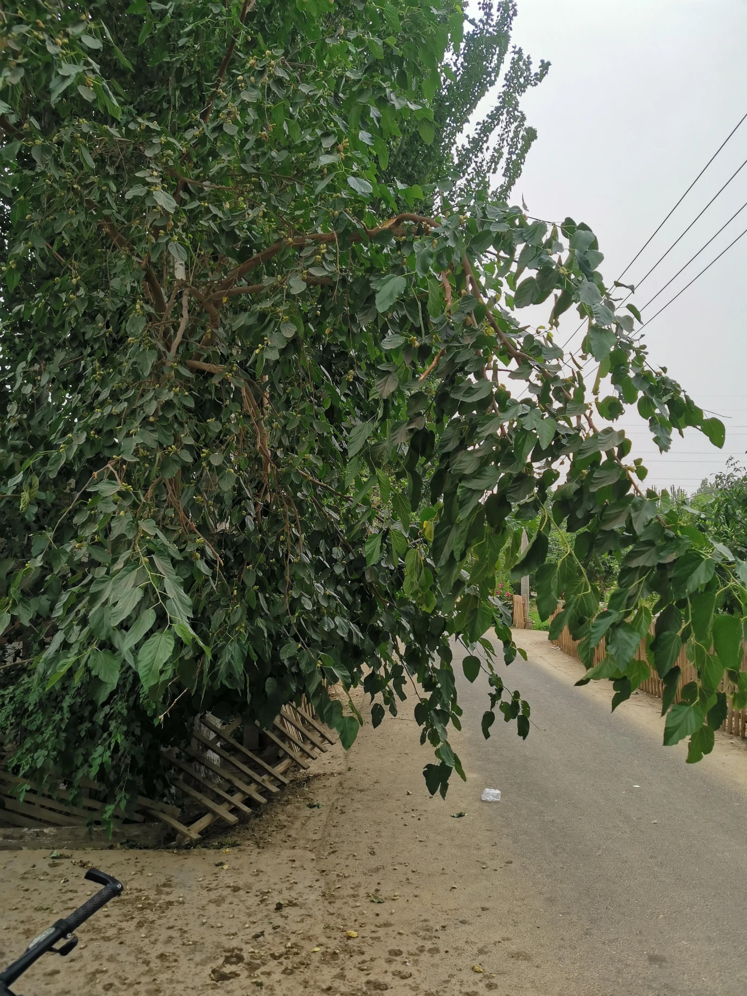 骑行新疆喀什噶尔,和田至阿拉尔沙漠公路骑行攻略