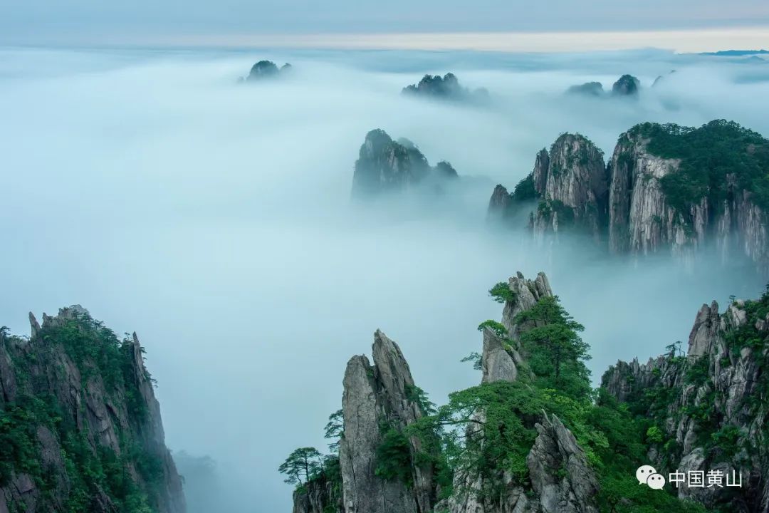 歙县记者节,记者采访风景视频素材
