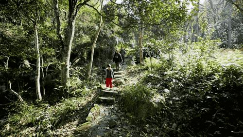 一种境界一种胸怀,独处的唯美境界