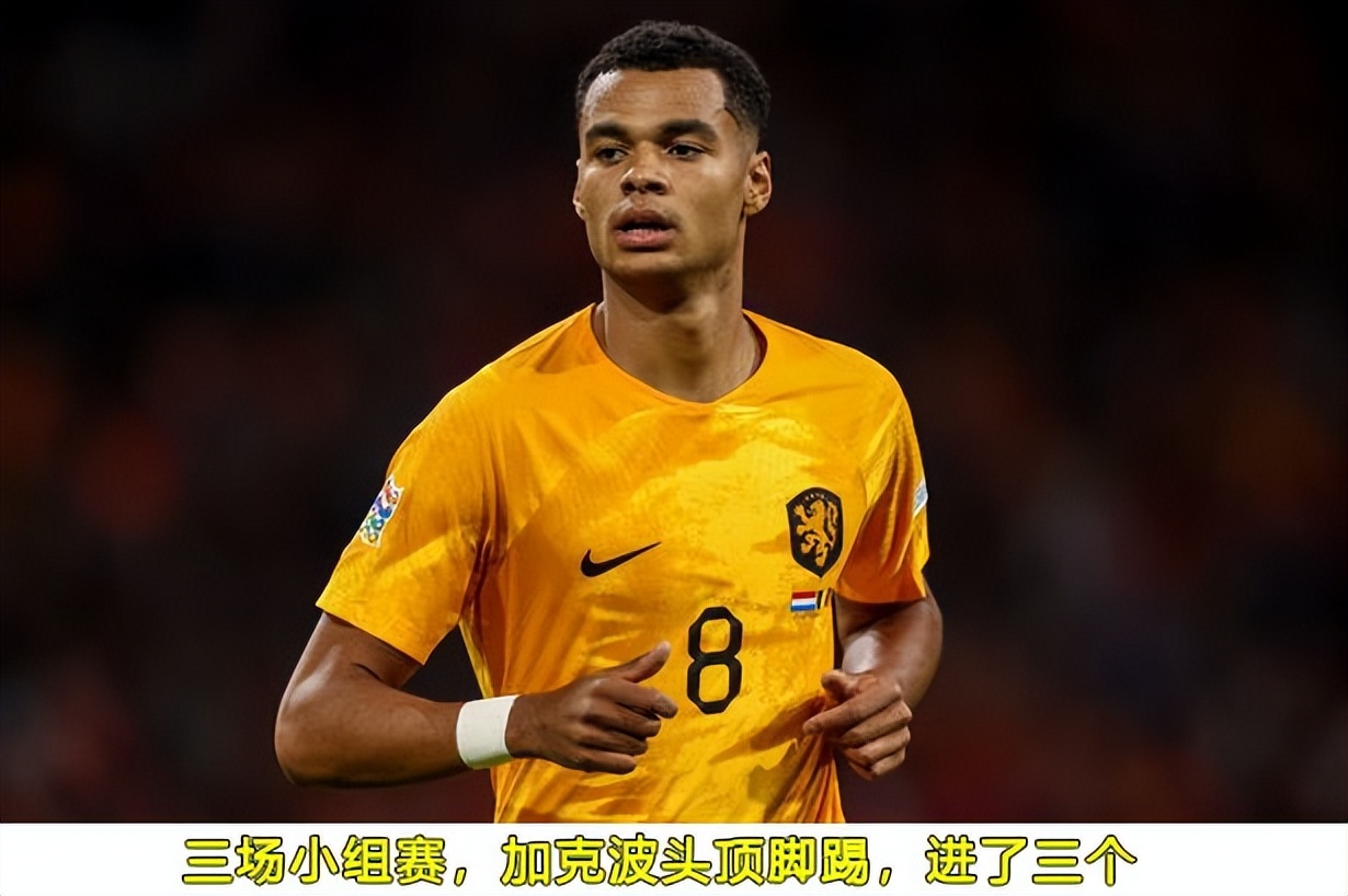 世界杯荷兰塞内加尔预测,荷兰vs阿根廷荷兰能进球吗