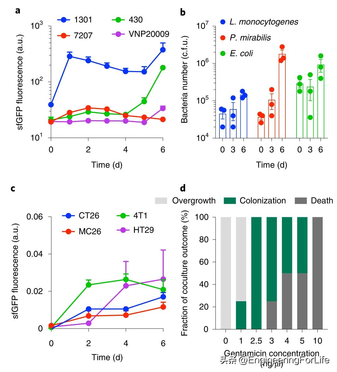 Nature Protocols：3D肿瘤球体内共培养细菌的快速筛选protocol