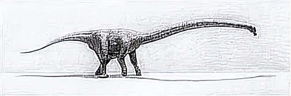 泰坦巨龙图片从哪来的,泰坦巨龙恐龙图片和简介