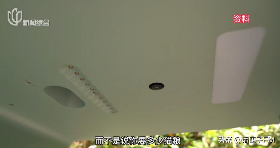 智能猫屋全自动,流浪猫管理猫屋