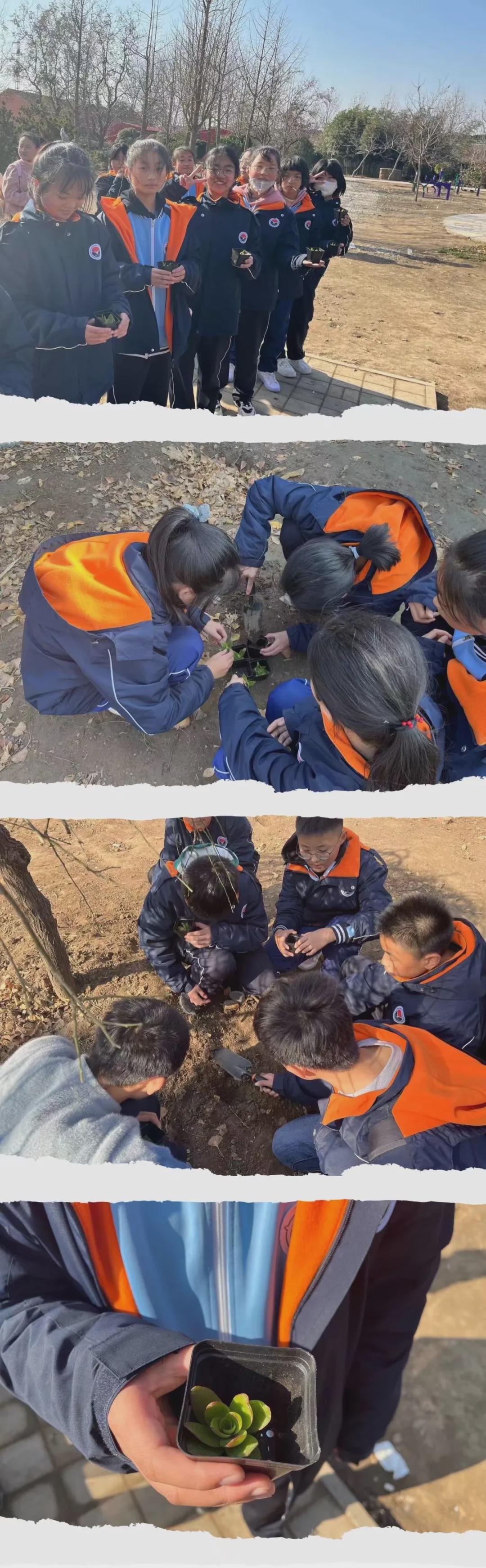 青岛研学活动感悟,用脚丈量大地用心感受生活