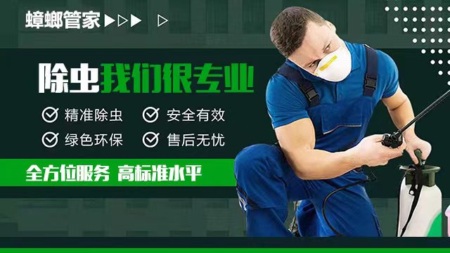 餐馆灭蟑螂,餐饮厨房除蟑螂