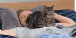 救命！猫咪太黏我了怎么办？