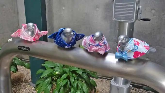 害怕小鸟受凉，有人悄悄为它们织了22年的毛衣