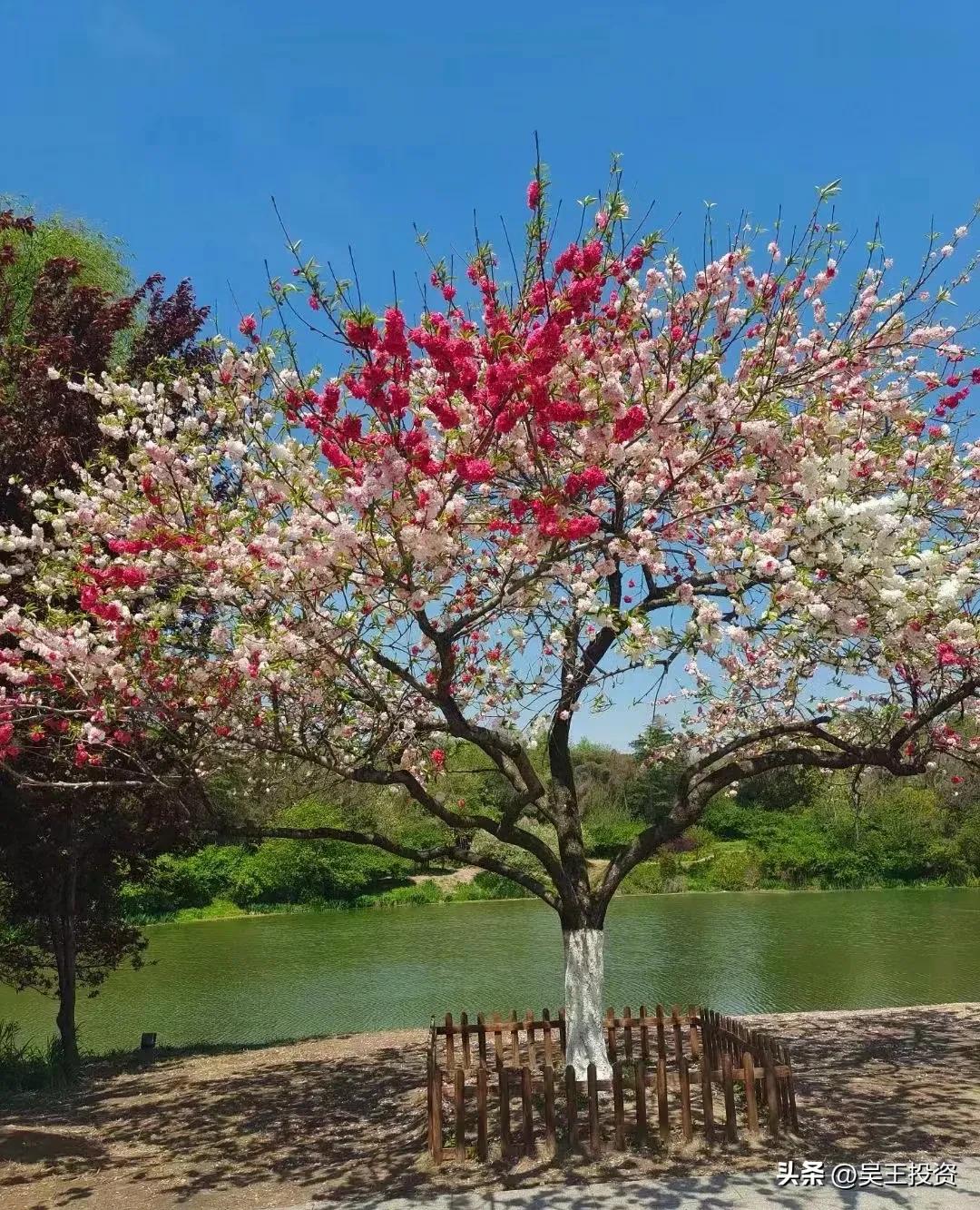 a股大盘神奇逆转的三大原因,a股大盘的短线趋势如何看