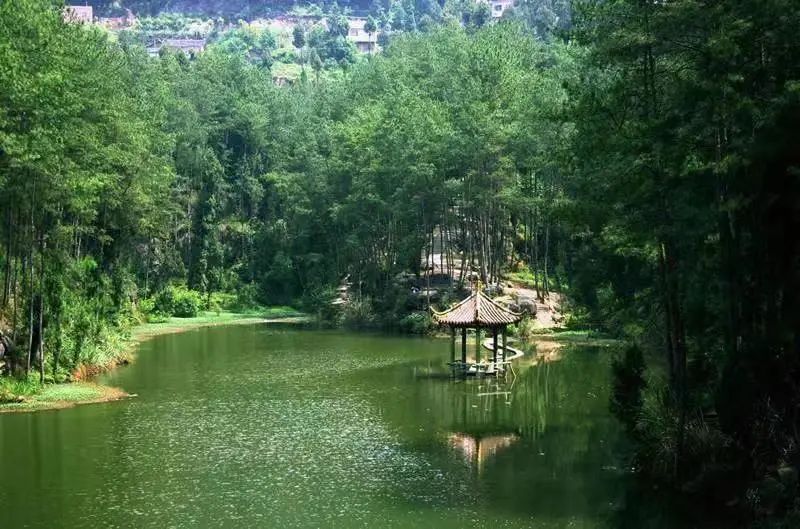 什么是南充菜,什么是南充菜图片