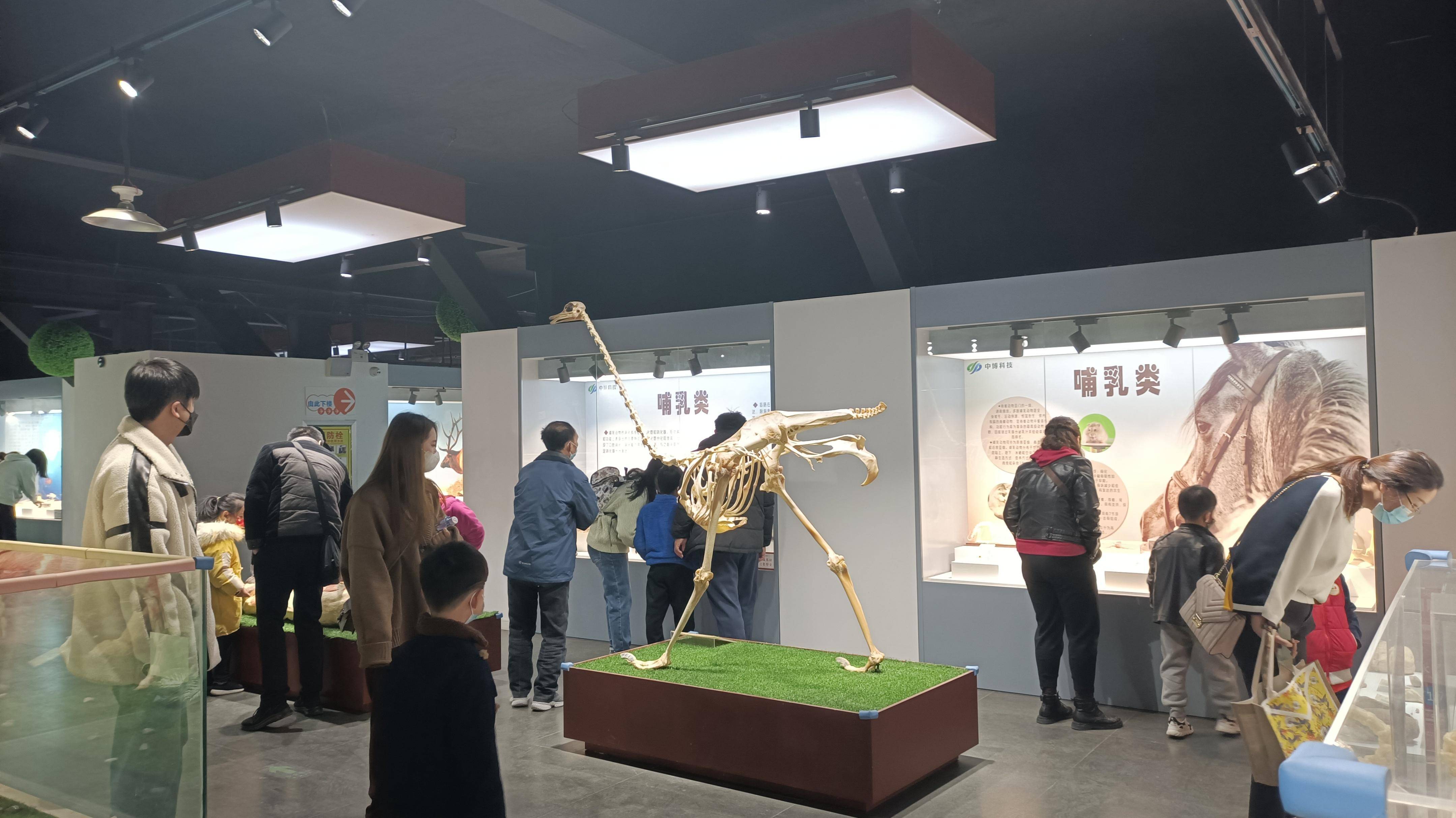 郑州春节遛娃游玩排行榜前十名,郑州冬季周末遛娃好去处