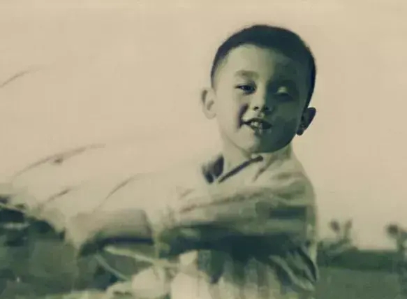 葛优夫妇为什么选择丁克,丁克和葛优是什么关系